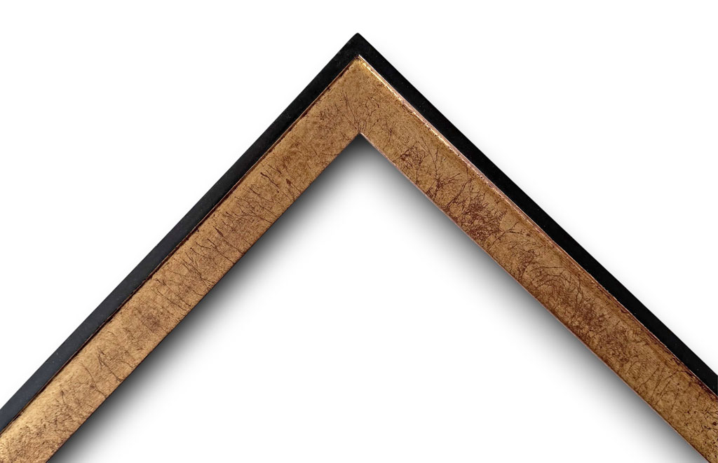 Dion, Sisyphe filet et dos couleur