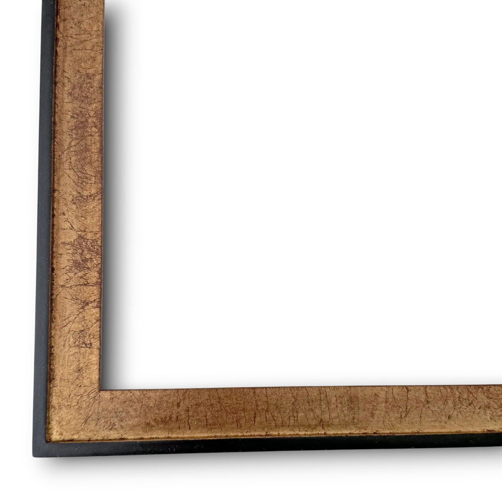 Dion, Sisyphe filet et dos couleur