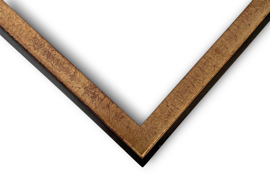 Dion, Sisyphe filet et dos couleur