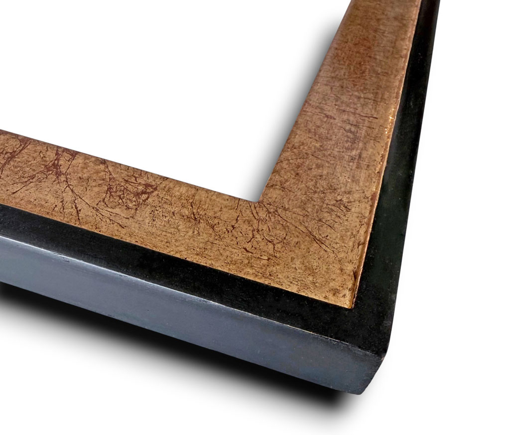 Dion, Sisyphe filet et dos couleur