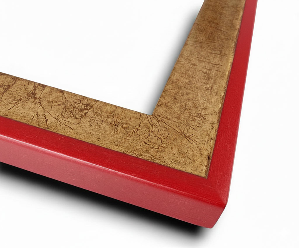 Dion Sisyphe filet et dos couleur